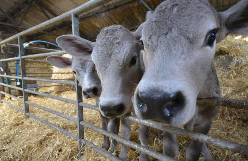 2 Bed in Sidmouth oc-bursc - Foto 14