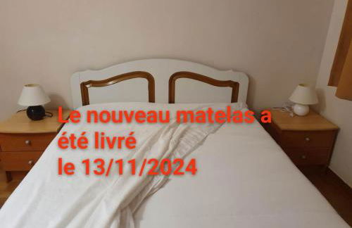 Médipôle T2 avec un garage gratuit sur place, 16min à centre ville Lyon en métro A - Foto 6