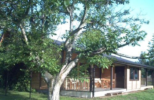 Pod Orzechem - Foto 1