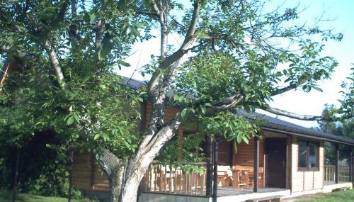 Pod Orzechem - Photo 1