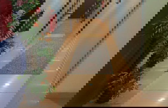 Al Eairy Furnished Apartments Al Ahsa 5 - Photo 31