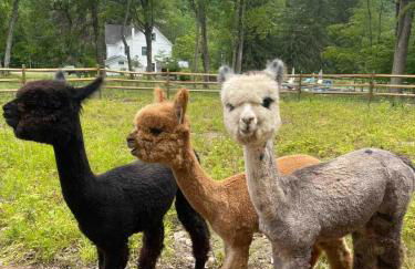 LaValleyEstates - Foto 13