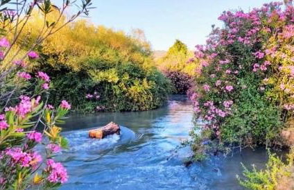 MAIN SQUARE Apartments - Photo 44