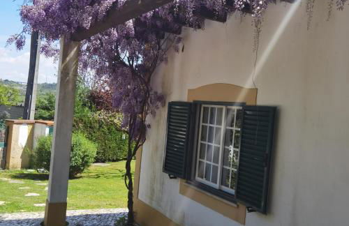 Quinta do Vale Encantado "the Valley" - Santarém - Portugal - Foto 69