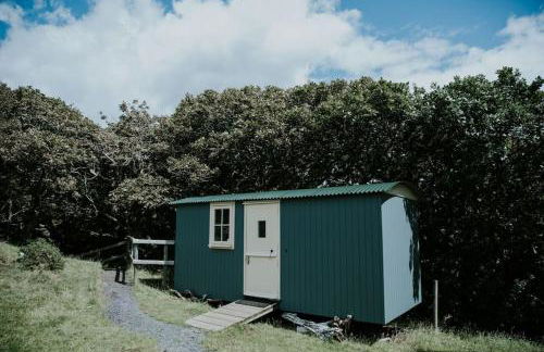 Snowdonia Shepherds Hut + Hot Tub - Foto 24