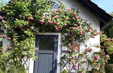 Tina`s home - Foto 23