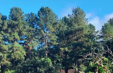 Casa Canto Verde - Foto 56