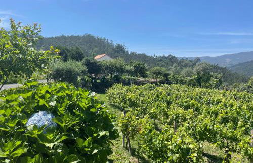 Solar Alegria - Foto 74