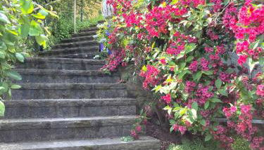 Ferienwohnung mit Weitblick - Foto 3, Garden view
