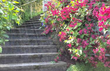 Ferienwohnung mit Weitblick - Foto 3