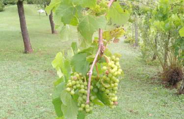 Milano Country Club - Villa with private pool and garden - Foto 52