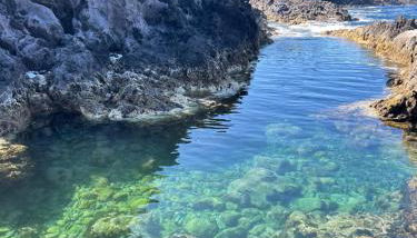 Ocidente House - Foto 4