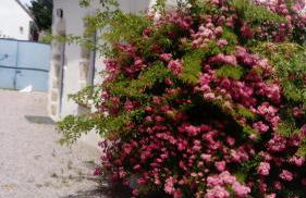 Gite de Marcureau - Foto 1