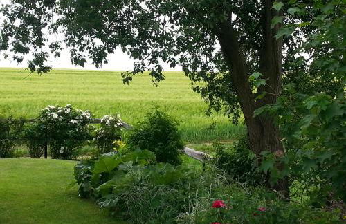 Fewo an der Teufelskanzel - Foto 34