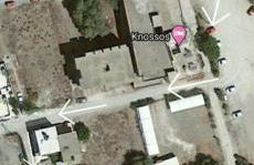 Little Octopus - Photo 16