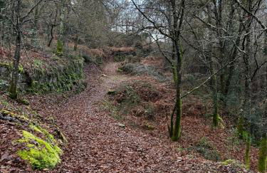 Sola Costeiro - Foto 15