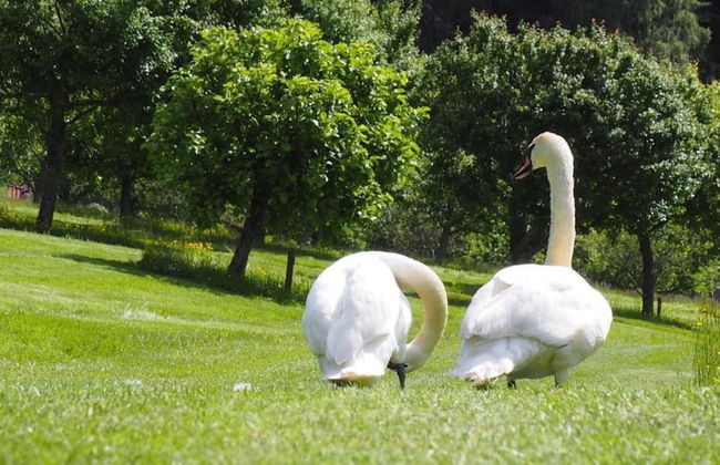 1 Bed Flat - Sleeps 2 - Wifi - Foto 10