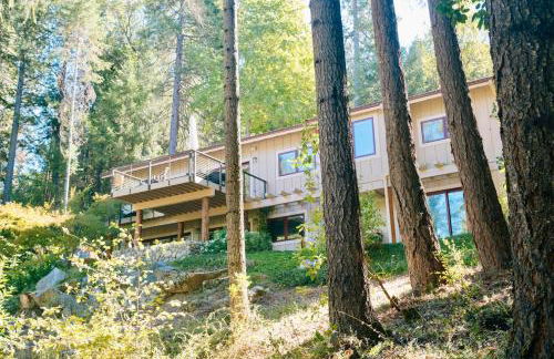 Lux, designer 8-acre retreat with private creek - Foto 23