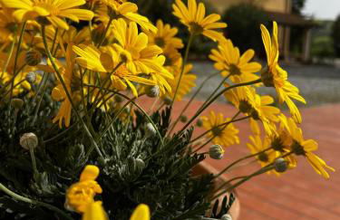 Agriturismo LA CERBANA - Foto 2