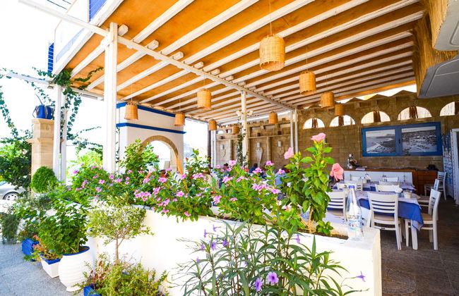 Stegna Star - Foto 6