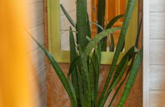 La Maisonnette Etape de Saint-Côme d'Olt - Photo 20