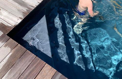 Clos Azyadé - Foto 27