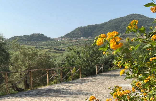 Agrolea Rodí Milici - Foto 46