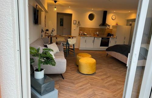 #9 Ommi Kese Drachen See-Suite Sauna Hund - Foto 41