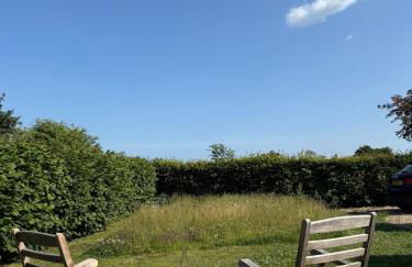 Meadow Hayes Studio - Foto 3