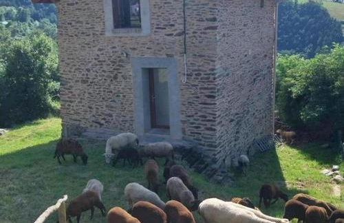 Gîte rénové avec terrasse et animaux acceptés à Saint-Chamond - FR-1-496-324 - Foto 9