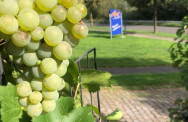 Haus Nummer 1, Moselblick - Foto 3