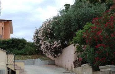 Via Mediterraneo 39 Casa vacanze - Foto 12