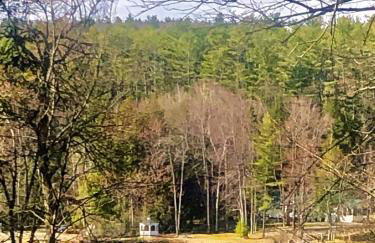 Loon Lake Chalet with Hot Tub near Gore & Lake George - Photo 35