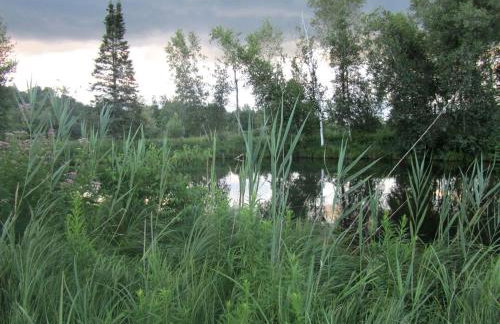 Enchanting Secluded Cabin Rental near Salem, New York - Foto 17