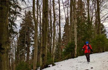 Przysiółek Flądrówka - Dom na odludziu z widokiem na Gorce i Tatry - Foto 11