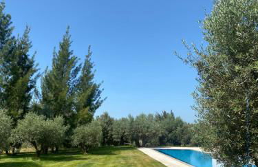 White Olive Villas - Foto 27