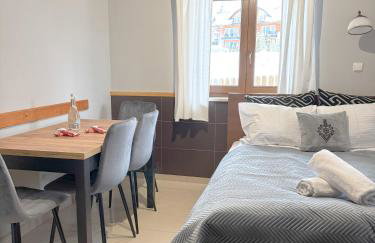 Willa Chrycówka - Jacuzzi, Basen, Sauna - Foto 74