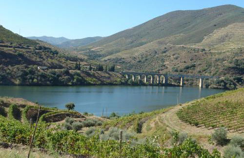 Quinta Vale de Carvalho - Foto 55