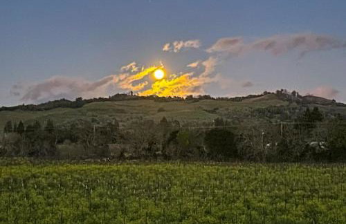 Magnolia Ranch Vineyards - Foto 23