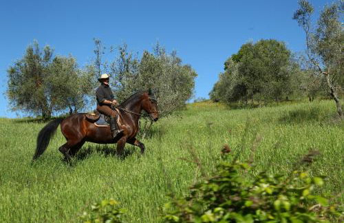 Agriturismo Palazzo Bandino - Wine cellar, on reservation restaurant and spa - Foto 37