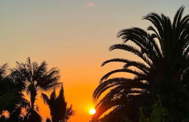 Casa Ortega - Foto 21