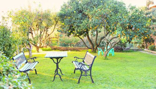 Corse Maison de campagne mer et montagne - Foto 3, Garden