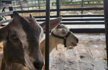 Flat Monte Castelo - Comodidade incrível 2 - Foto 38