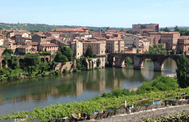 Escursione ad Albi e Cordes-sur-Ciel - Foto 1