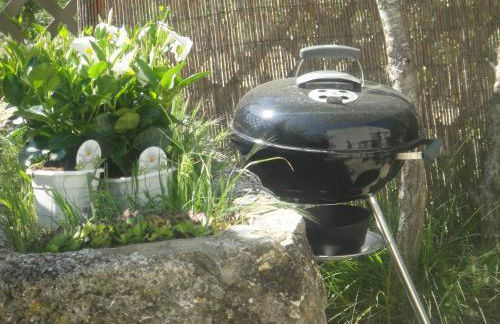 Domaine du Mas Foucray - Foto 57