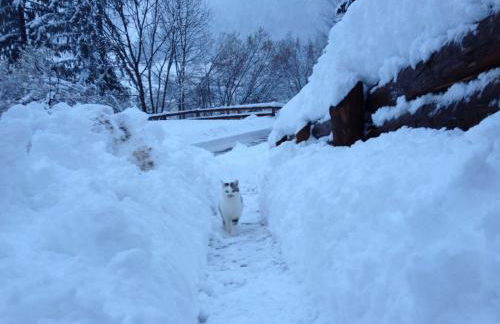 La Lince Lodge - Foto 20