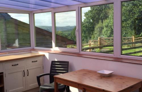 Llwyn Llwyd Cottage - Photo 15