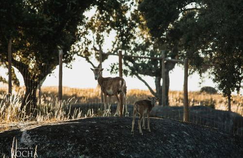 Herdade da Rocha - Boutique Lodge - Foto 20