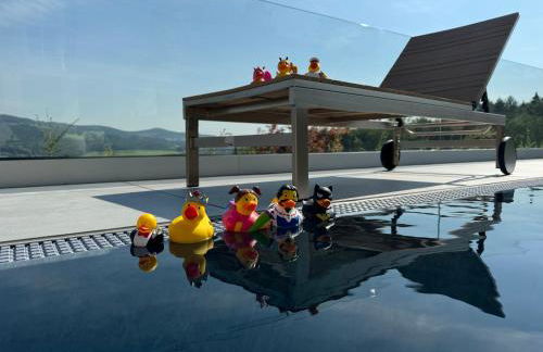 Haus Vogl - Fewo mit priv. Sauna und traumhaften Salzwasser-Pool - Foto 16