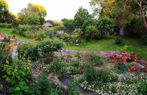 Hide on the Hill Cottage - Foto 34